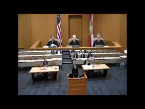 LLC Manager Removed Without a Proper Vote, Yet No Damages (Ferk Family v. Frank)