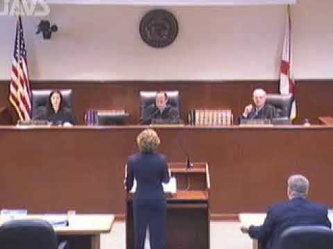 Watch on YouTube: Corporate Records Inspection Rights in Florida | Villa Bellini v. Mancini, 2D18-2249